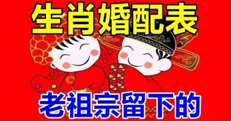 蛇豬配|最幸福生肖婚配表，老祖宗留下的！